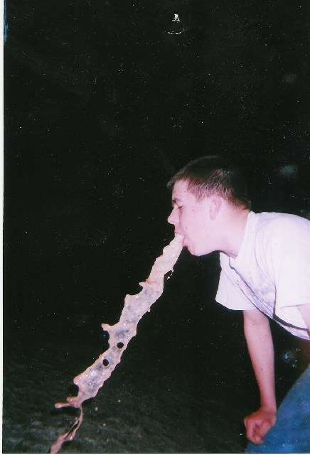 Berberdo l'escroco vomit